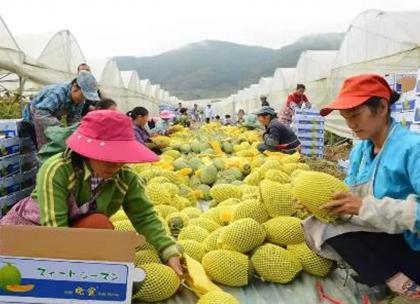 南京众彩冷链集配中心